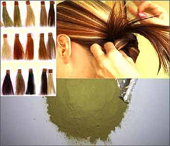 Popularity of Herbal Hair Colors