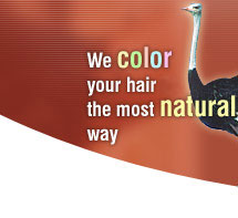 Natural Hair Colors