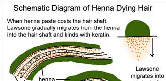 henna-as-hair-color1.jpg