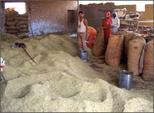 Manufacturing Process of Henna Powder