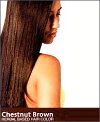 Chestnut Brown Hair Color