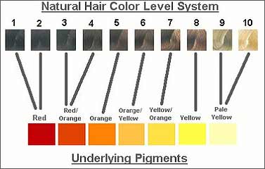 Hair Color Types,Hair Color Formula,Hair Coloring Types,Hair Coloring  Procedure